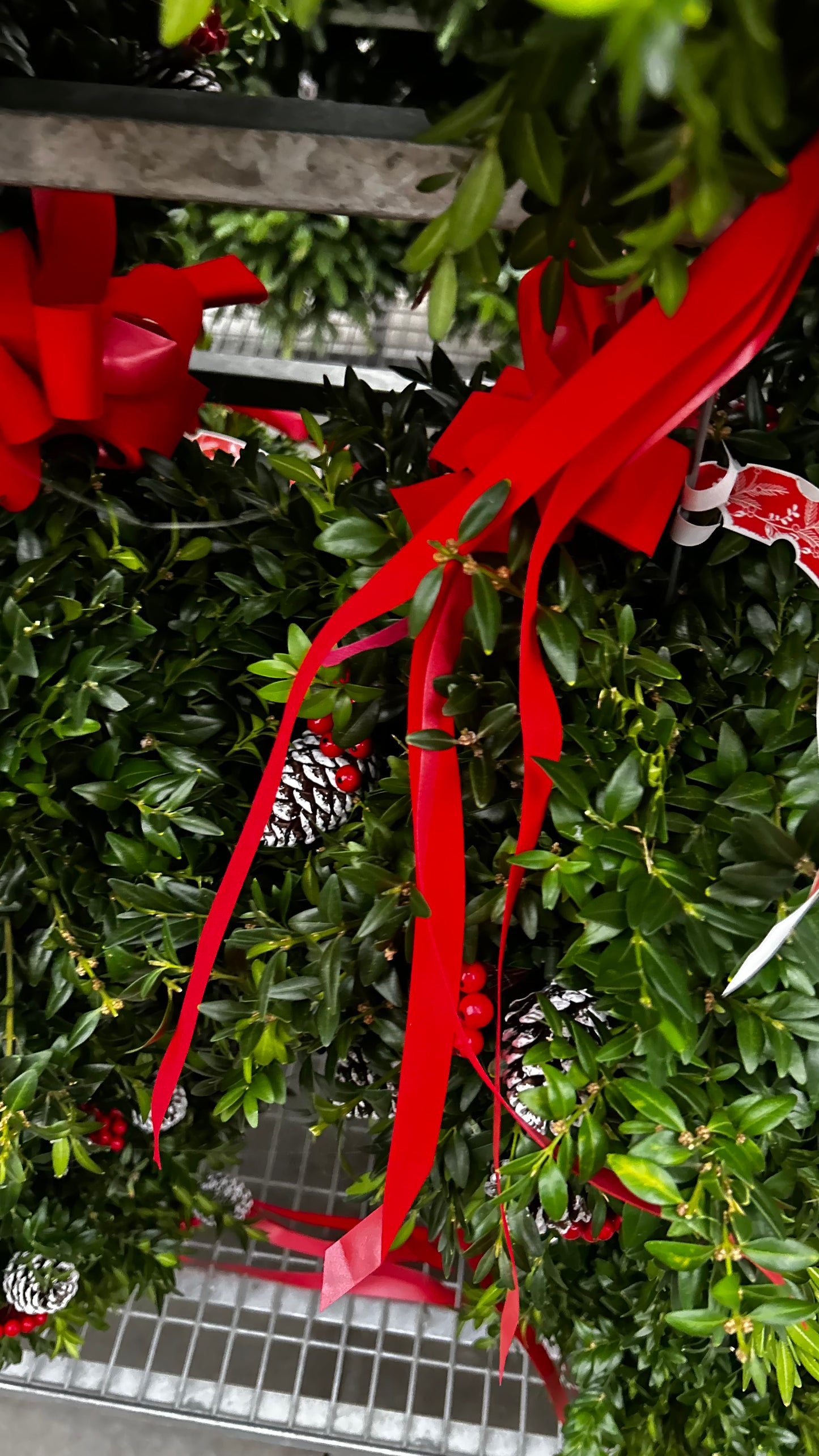 Kissing Ball, 12" Boxwood, Cones, Berries, Decorated Each