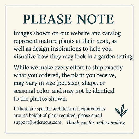 Images Disclaimr from www.redcrocus.com