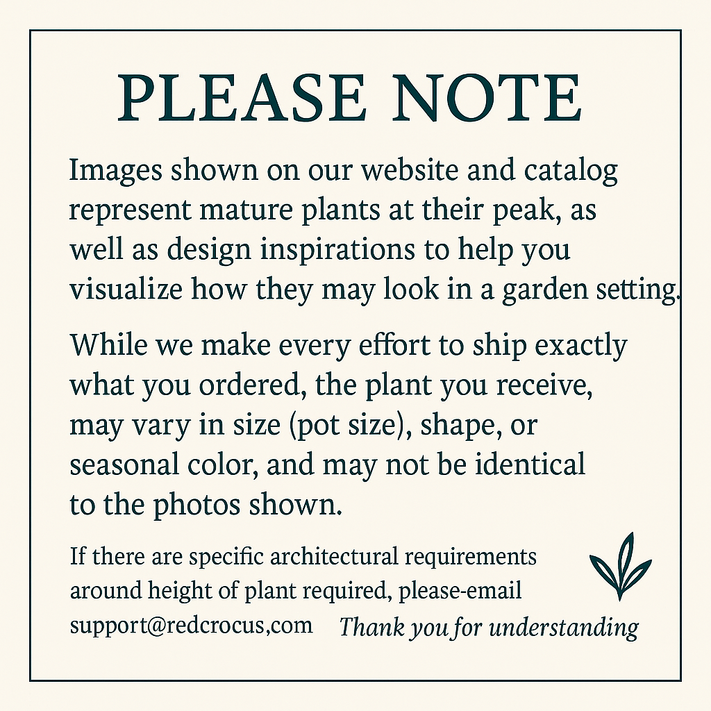 Images Disclaimr from www.redcrocus.com