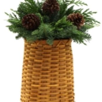 Buxus Sempervirens 'woodburn Select' - View 17 from www redcrocus com