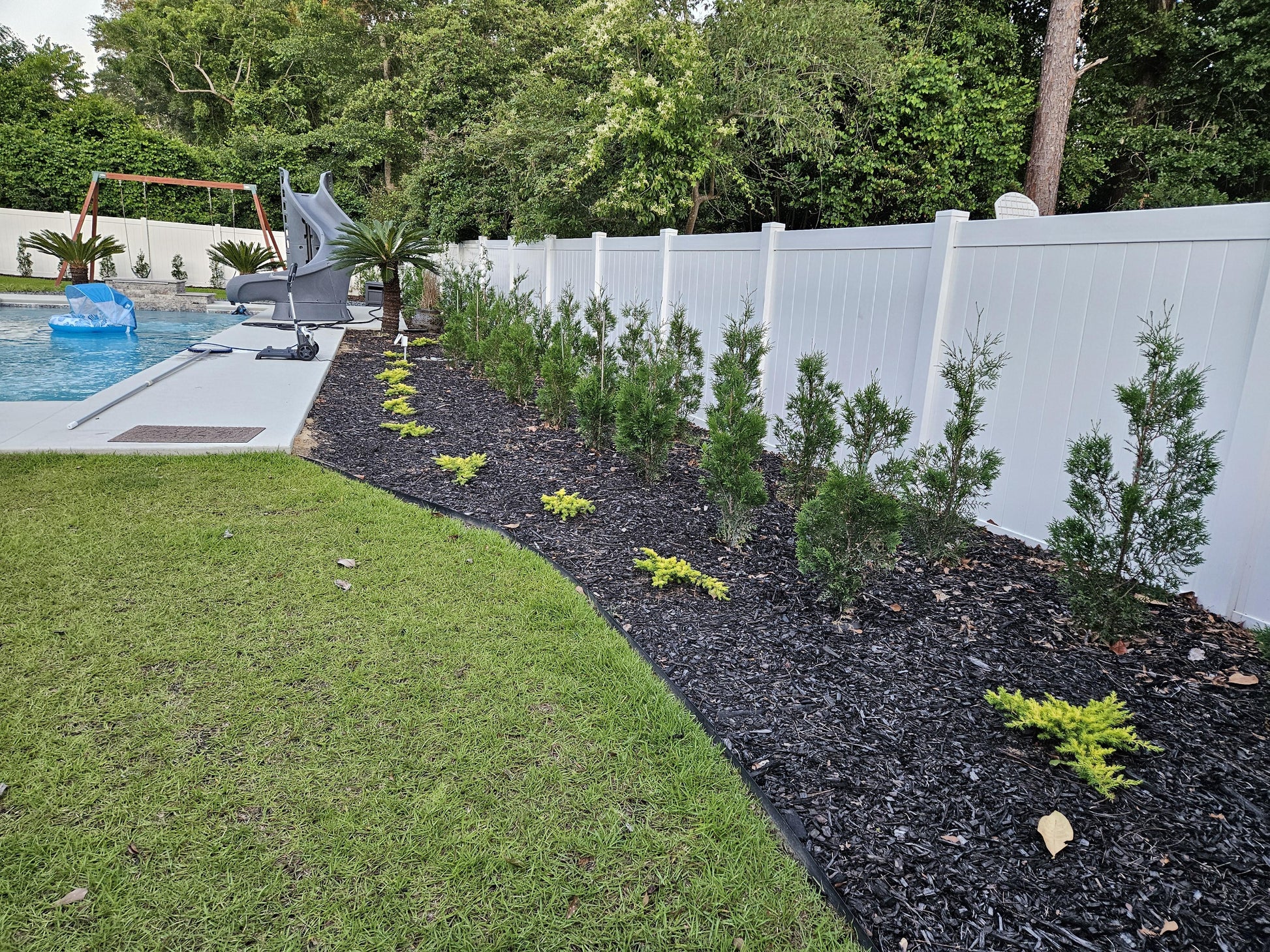 Juniperus Conferta 'golden Pacific' - View 29 from www redcrocus com