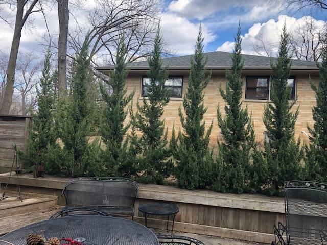 Juniperus Chinensis 'trautman' - View 36 from www redcrocus com