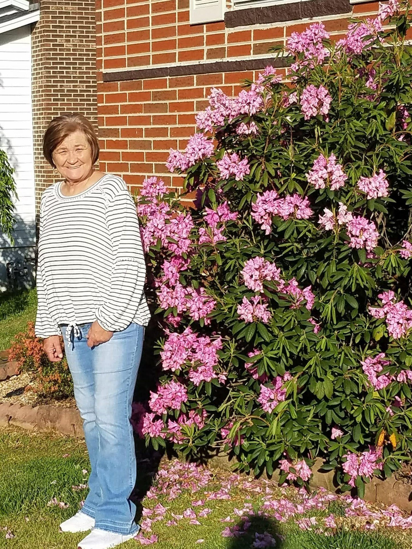 Rhododendron 'kimberly' - View 20 from www redcrocus com