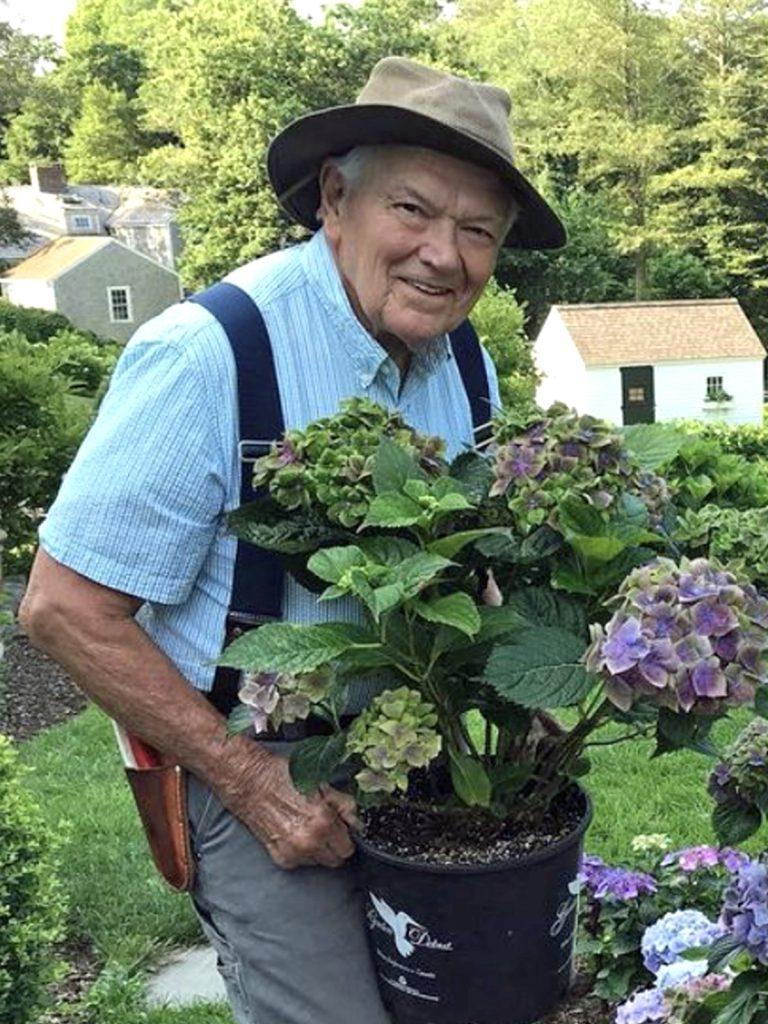 Hydrangea Macrophylla 'froggie' - View 23 from www redcrocus com