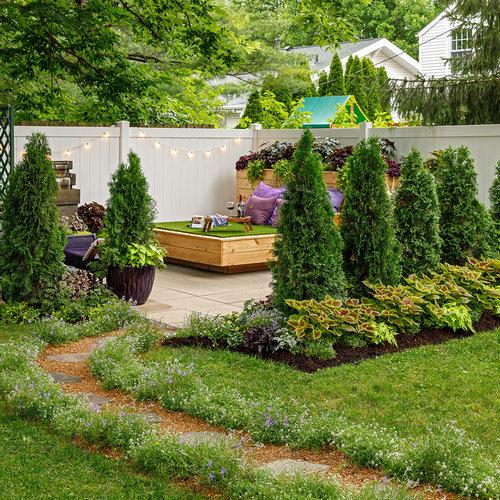 Thuja Occidentalis 'north Pole' - View 11 from www redcrocus com