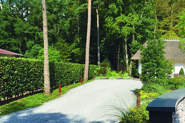 Thuja Plicata 'virescens' Hedge Form (instant Hedge) - View 31 from www redcrocus com