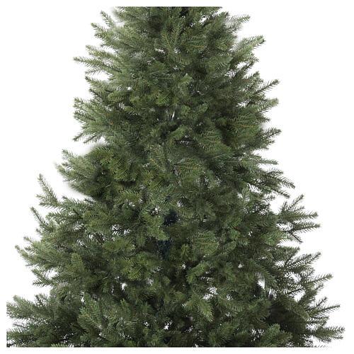 Thuja 'everyst' - View 17 from www redcrocus com
