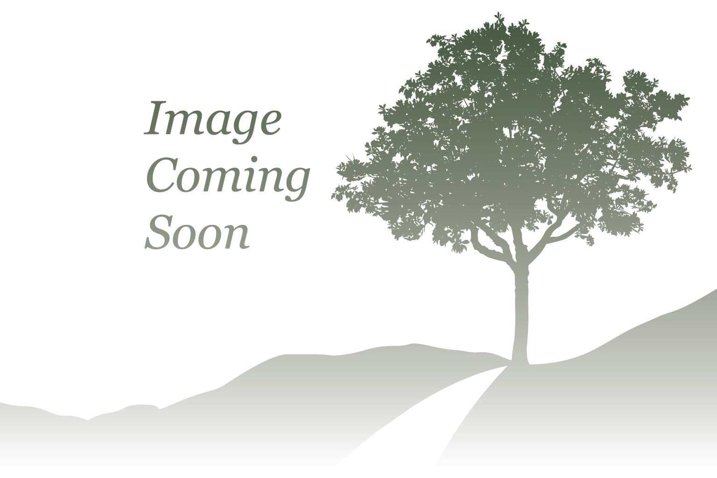 Amelanchier Grandiflora 'autumn Brilliance' Multi Stem - View 39 from www redcrocus com