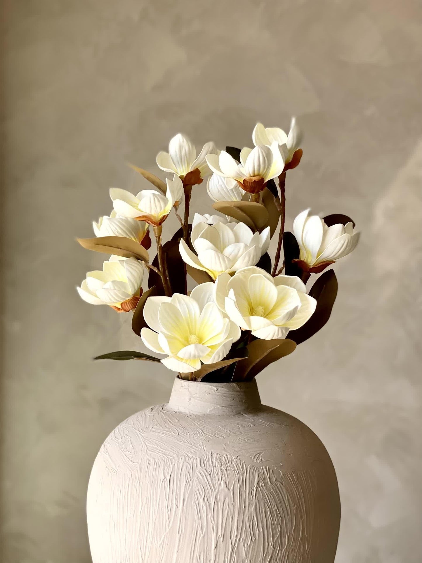 Magnolia Kobus Single Stem - View 24 from www redcrocus com