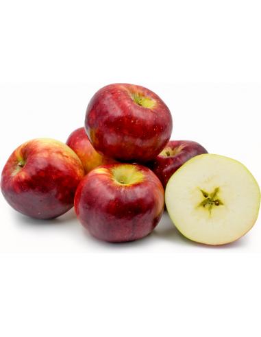 Malus Domestica 'cortland' - View 11 from www redcrocus com