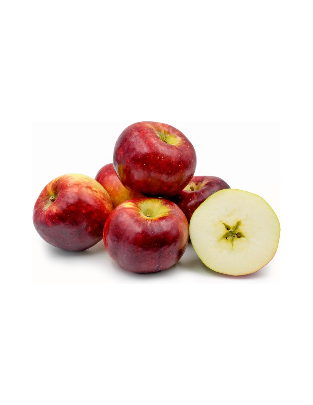 Malus Domestica 'cortland' - View 5 from www redcrocus com