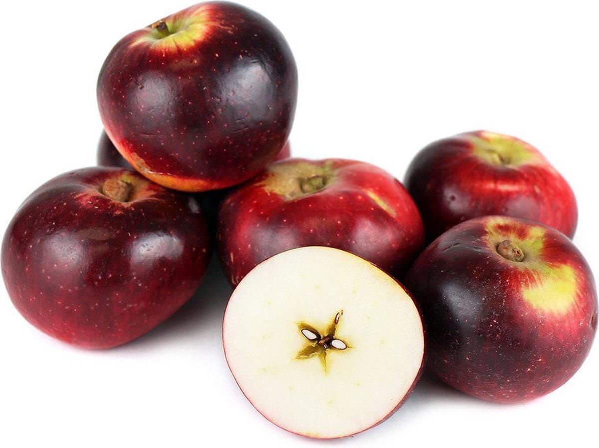 Malus Domestica Liberty - View 18 from www redcrocus com