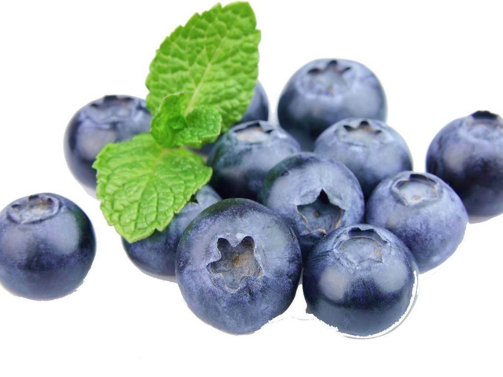 Blueberry Vaccinium Angustifolium 12 D9aedb45 E192 4ec6 Ab58 3f6e702697e3 from www redcrocus com