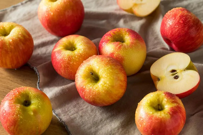 Malus Domestica Honeycrisp - View 8 from www redcrocus com