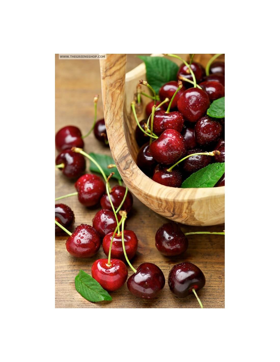 Prunus Avium Bing Sweet Cherry - View 11 from www redcrocus com