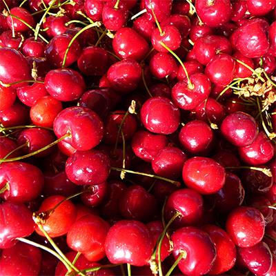 Prunus Avium Combo 4 In 1 - View 6 from www redcrocus com