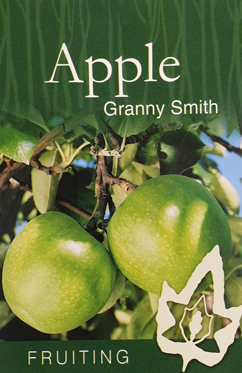 Malus Domestica Granny Smith - View 11 from www redcrocus com