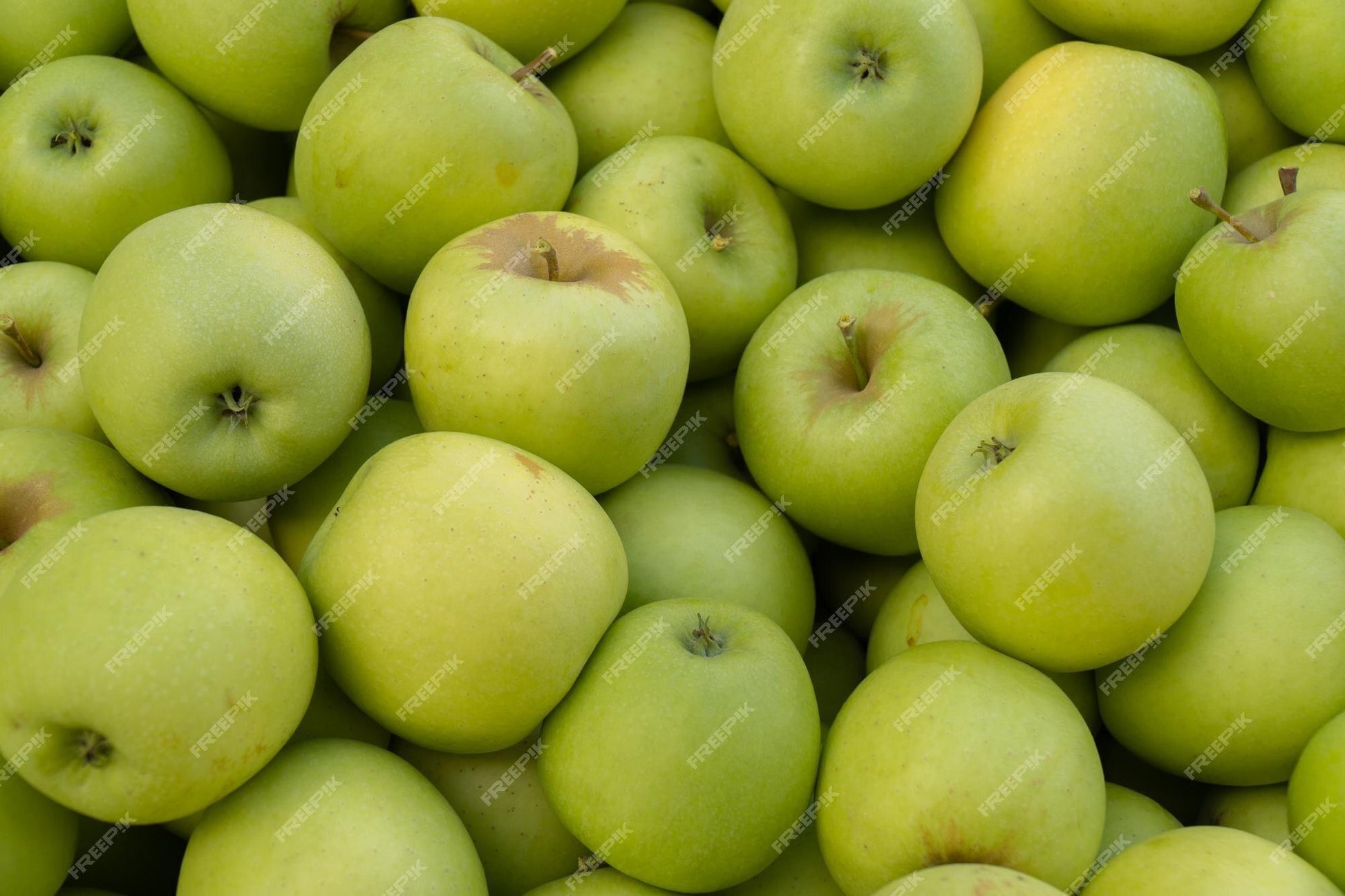 Malus Domestica Granny Smith - View 6 from www redcrocus com