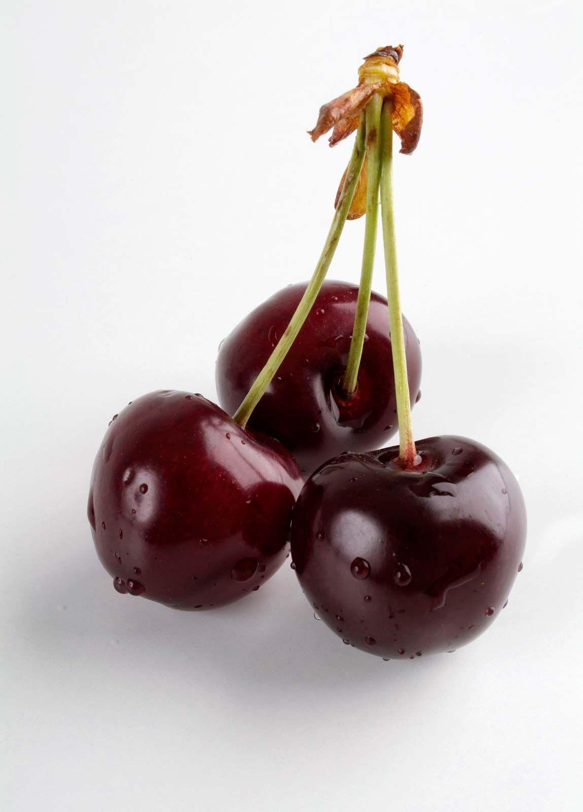 Prunus Avium 'rainer' Sweet Cherry - View 19 from www redcrocus com