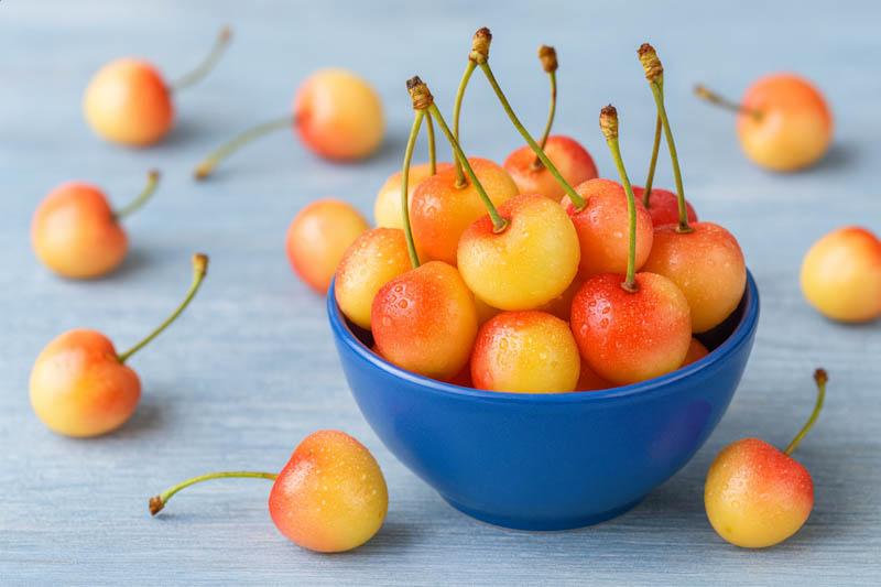 Prunus Avium 'rainer' Sweet Cherry - View 4 from www redcrocus com