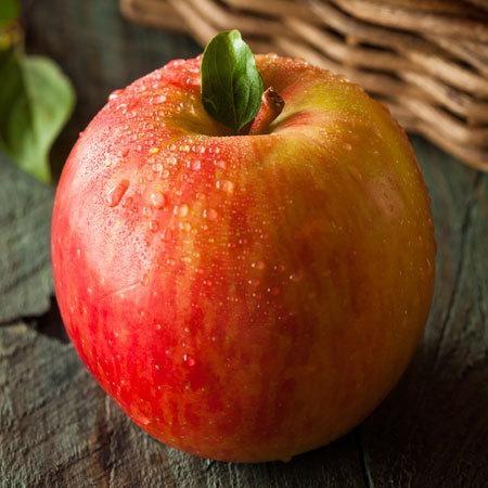 Malus Domestica 'fuji' - View 30 from www redcrocus com