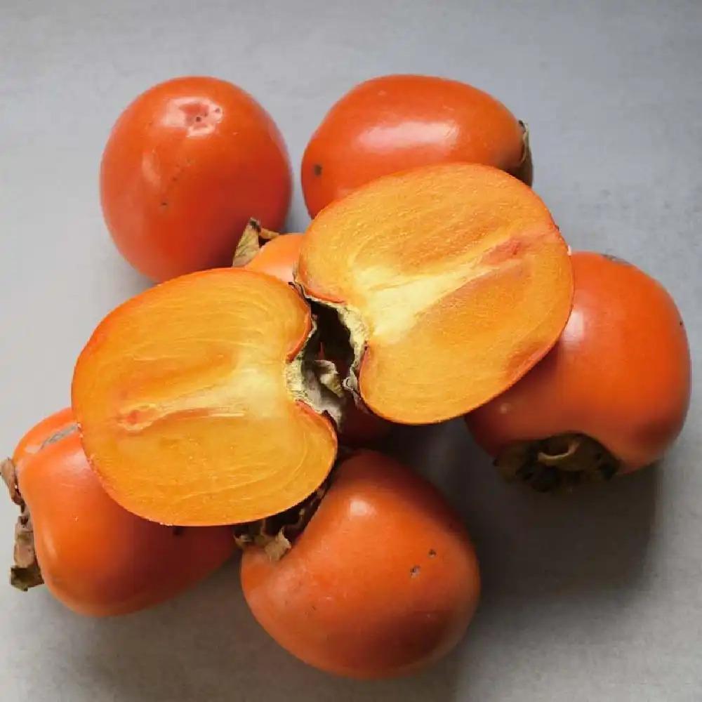 Diospyros Kaki Fuyu Single Stem - View 9 from www redcrocus com