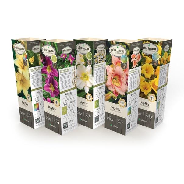 Ghh000 Hemerocallis, Assorted - View 20 from www redcrocus com