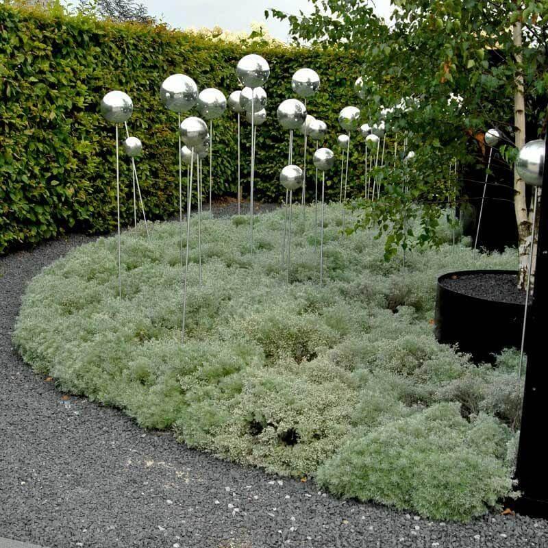 G783 Artemisia Schmidtiana 'silver Mound' - View 29 from www redcrocus com