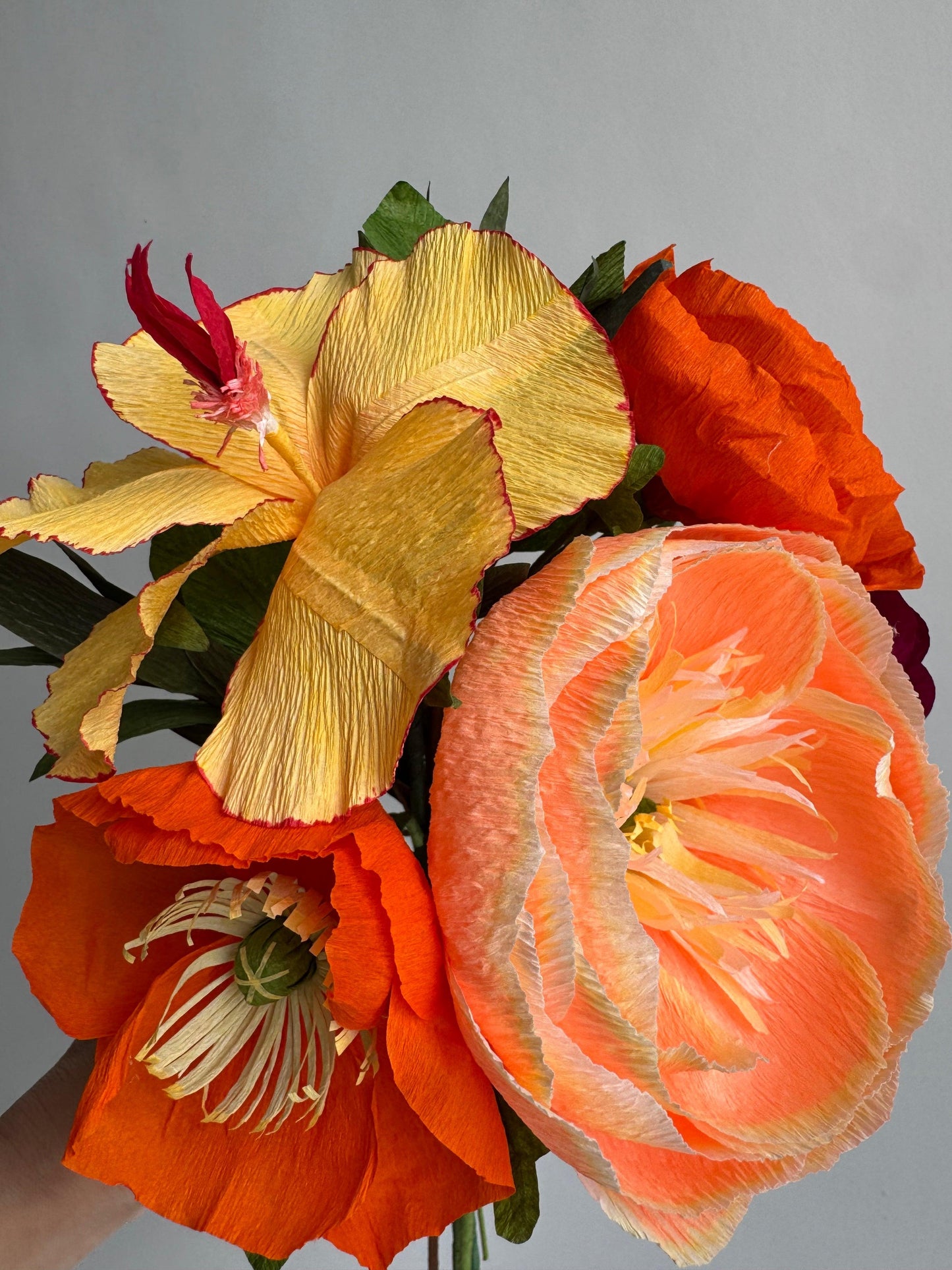 G809 Hibiscus, Assorted - View 9 from www redcrocus com