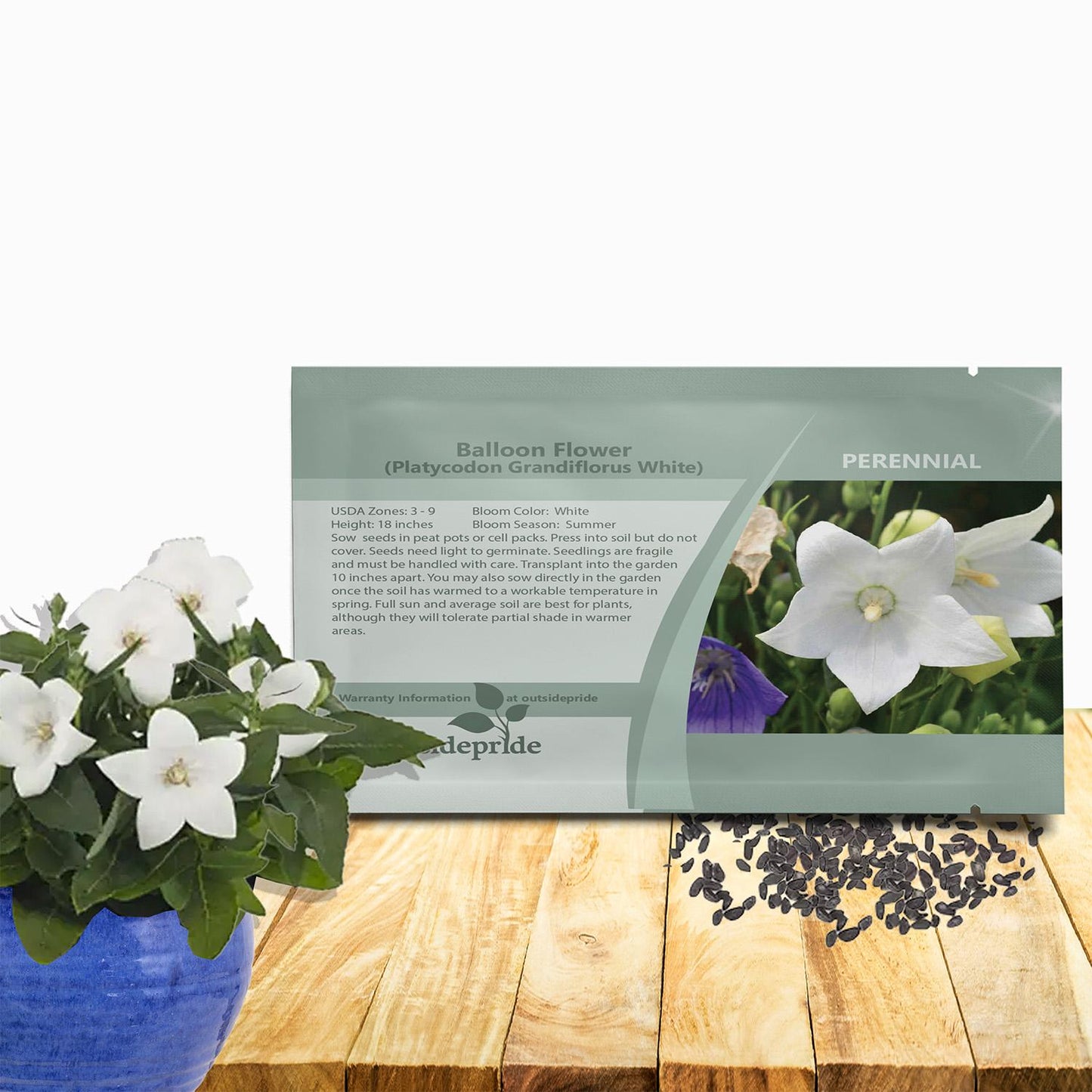 Platycodon Grandiflorus 'astra Mix' Blue, Pink, White - View 4 from www redcrocus com