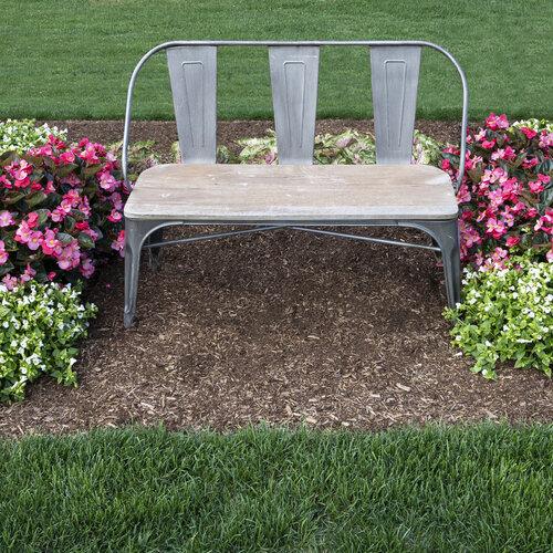 Torenia Catalina White Linen - View 17 from www redcrocus com