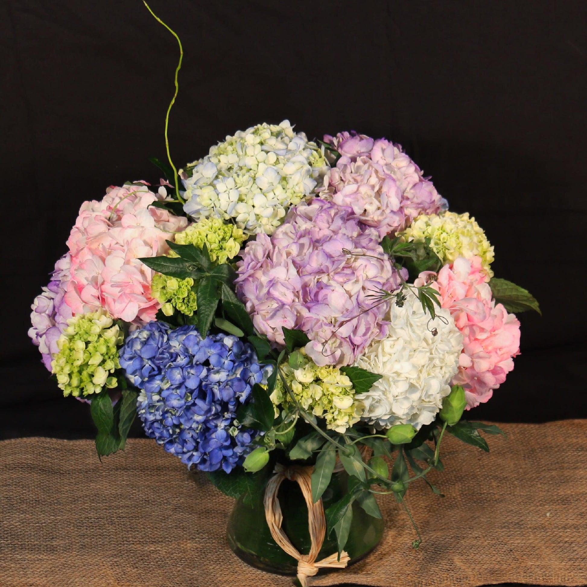 Hydrangea, Florist, Assorted - View 14 from www redcrocus com