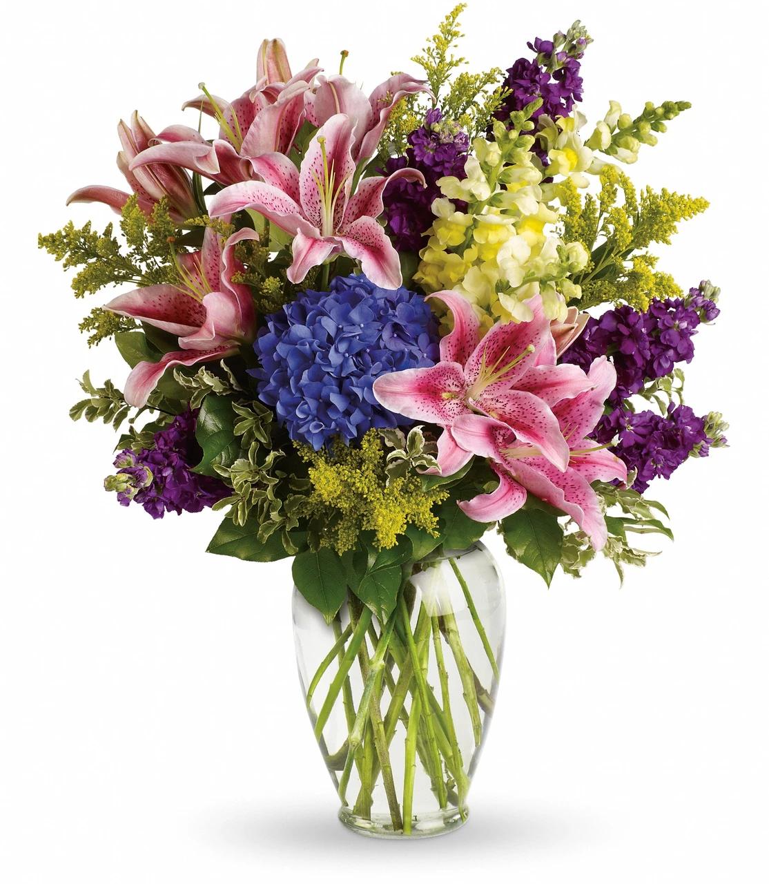 Hydrangea, Florist, Assorted - View 5 from www redcrocus com