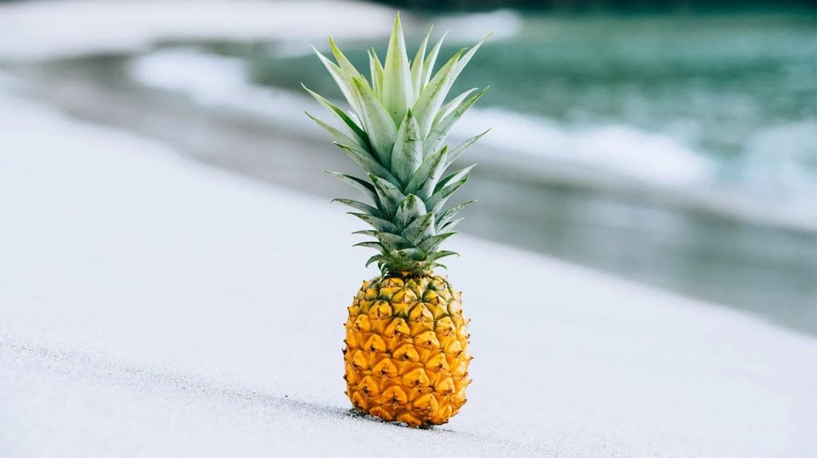 Pineapple - View 31 from www redcrocus com