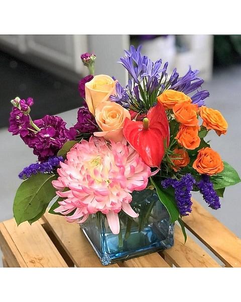Fuchsia, Assorted, Standard - View 11 from www redcrocus com