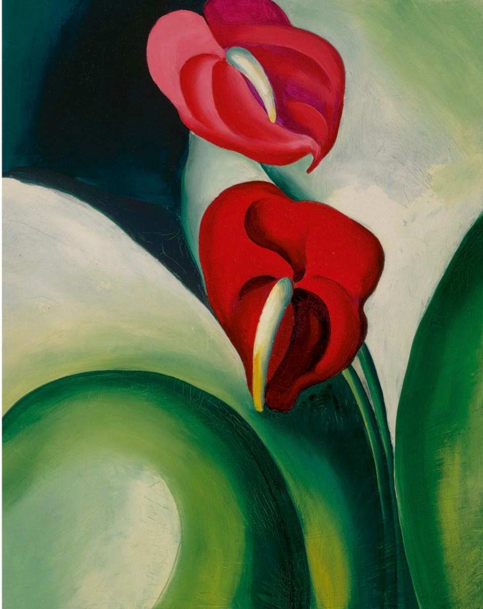 Anthurium 'famous Leon' - View 14 from www redcrocus com