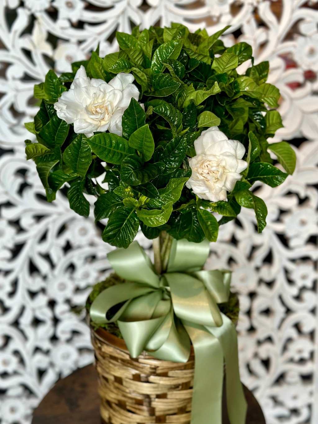 Gardenia Assorted Braid - View 18 from www redcrocus com
