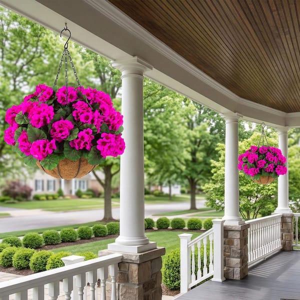 Hibiscus, Premium, Assorted, Column - View 12 from www redcrocus com