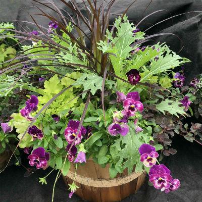 Fall Combo Planter Bushel Basket - View 1 from www redcrocus com