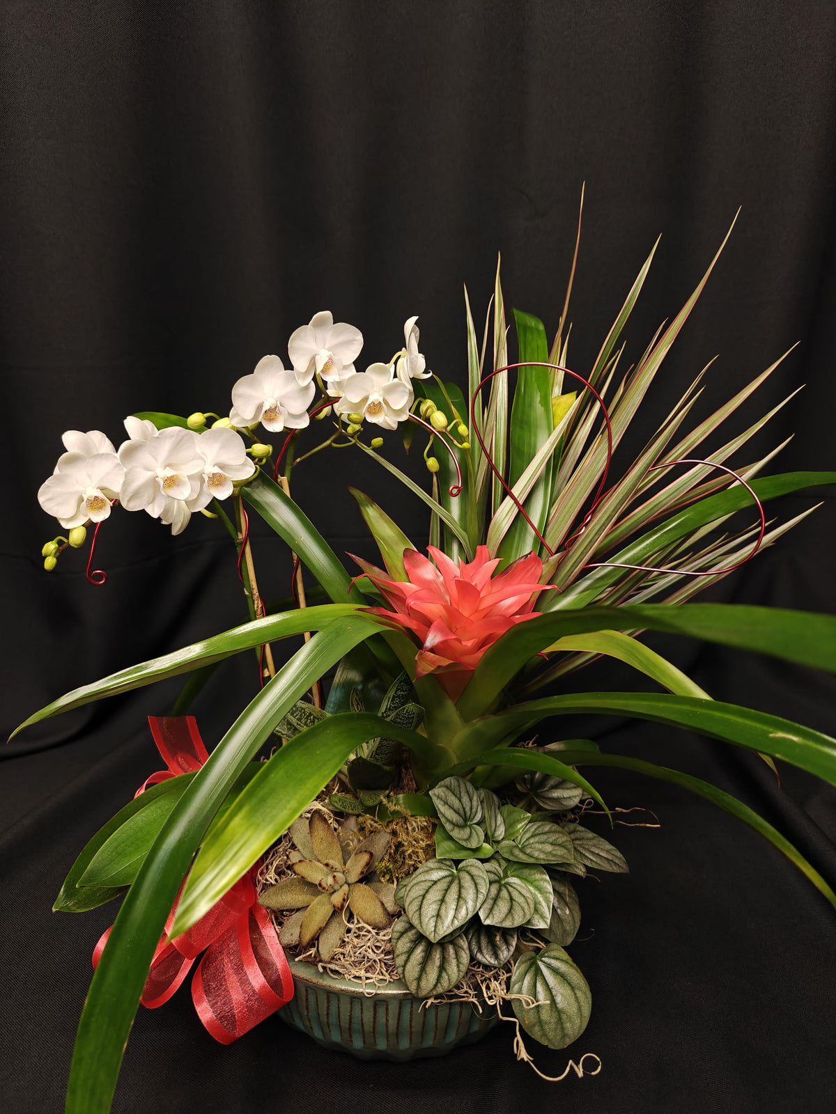 Bromeliad Garden, Ceramic - View 5 from www redcrocus com