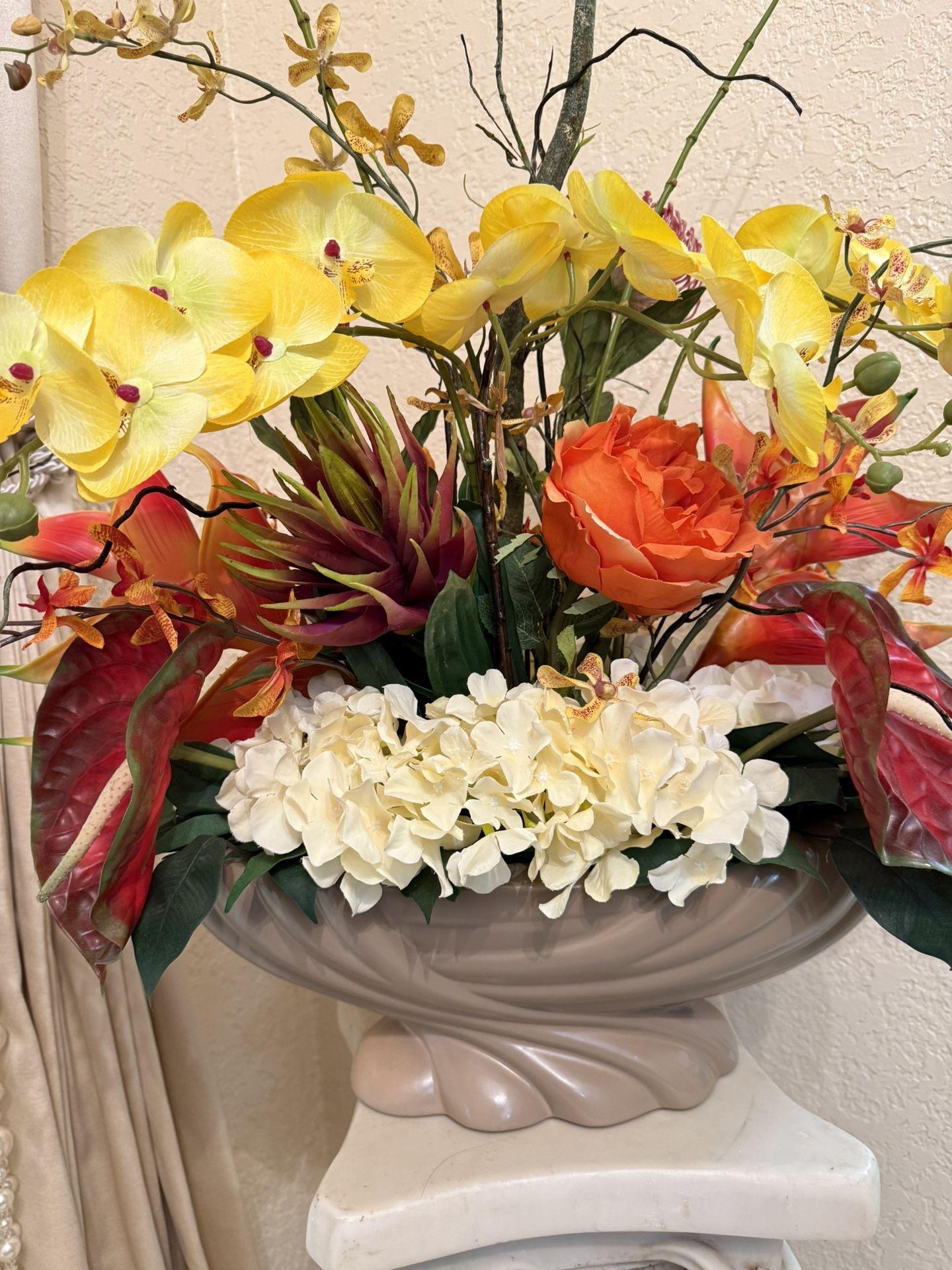 Orchid, Exotic, Assorted - View 6 from www redcrocus com