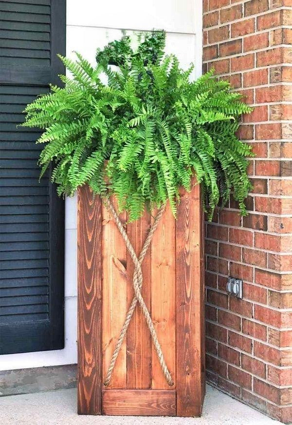 Fern Wooden Crate - View 13 from www redcrocus com