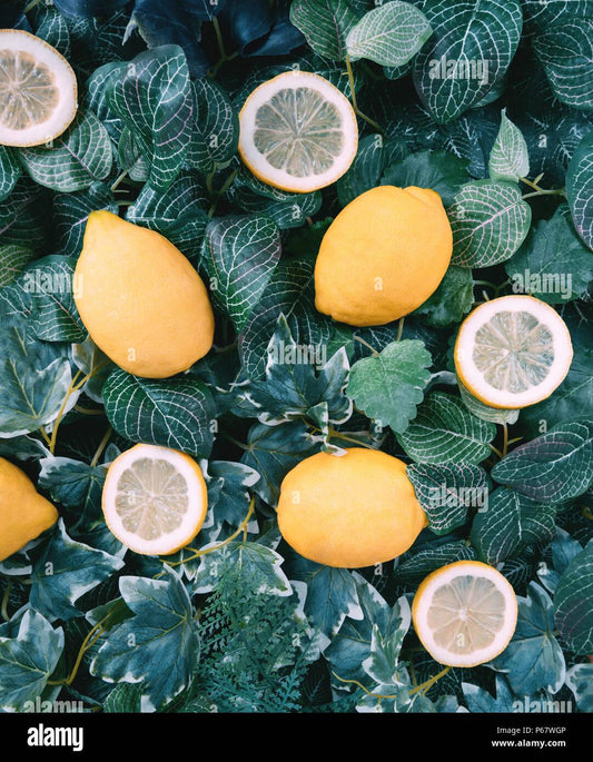 Citrus Lemon Assorted - View 1 from www redcrocus com