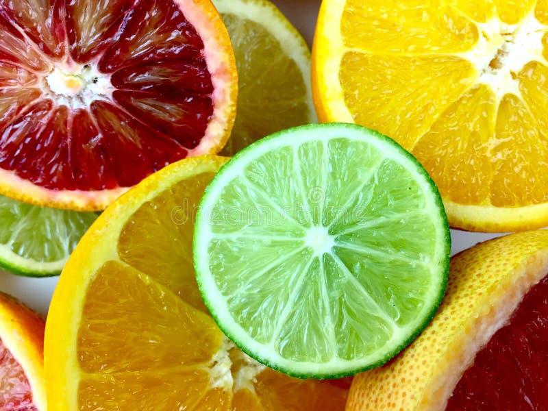 Citrus Lemon Assorted - View 4 from www redcrocus com