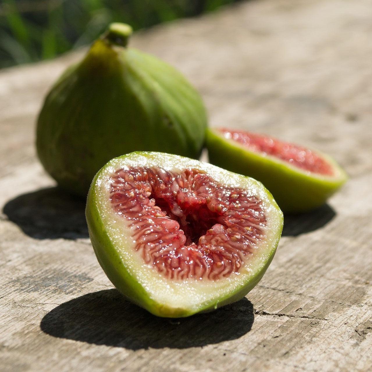 Ficus Carica Corky S Honey Delight Standard - View 3 from www redcrocus com