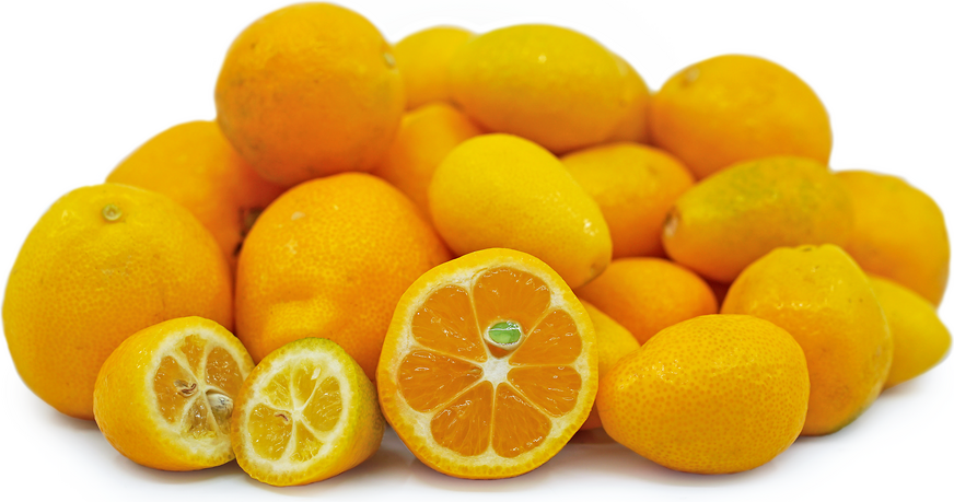 Citrus, Kumquat, Assorted, Standard - View 11 from www redcrocus com