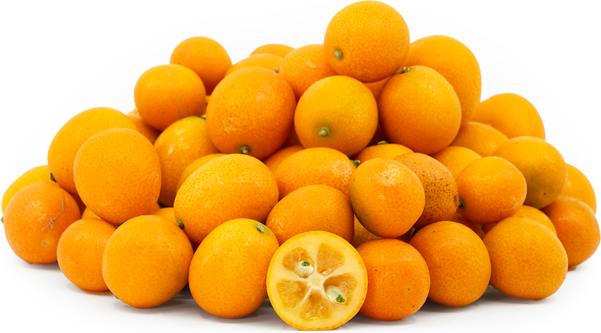 Citrus, Kumquat, Assorted, Standard - View 4 from www redcrocus com