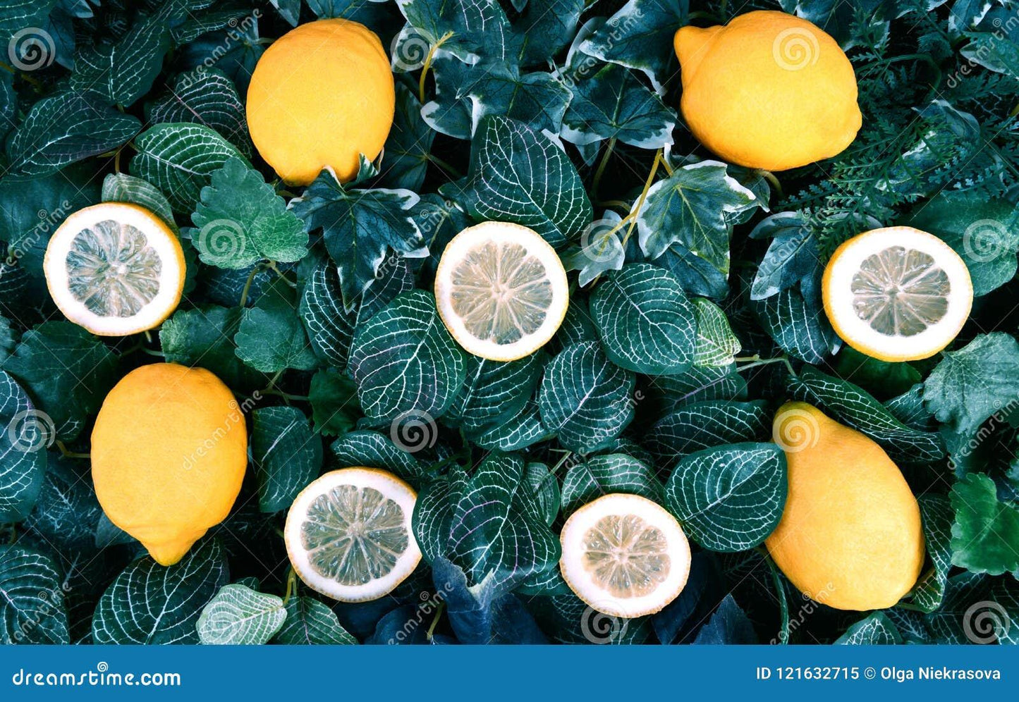 Citrus Lemon Assorted - View 3 from www redcrocus com