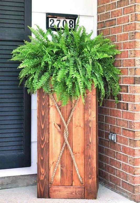 Fern Wooden Crate - View 13 from www redcrocus com