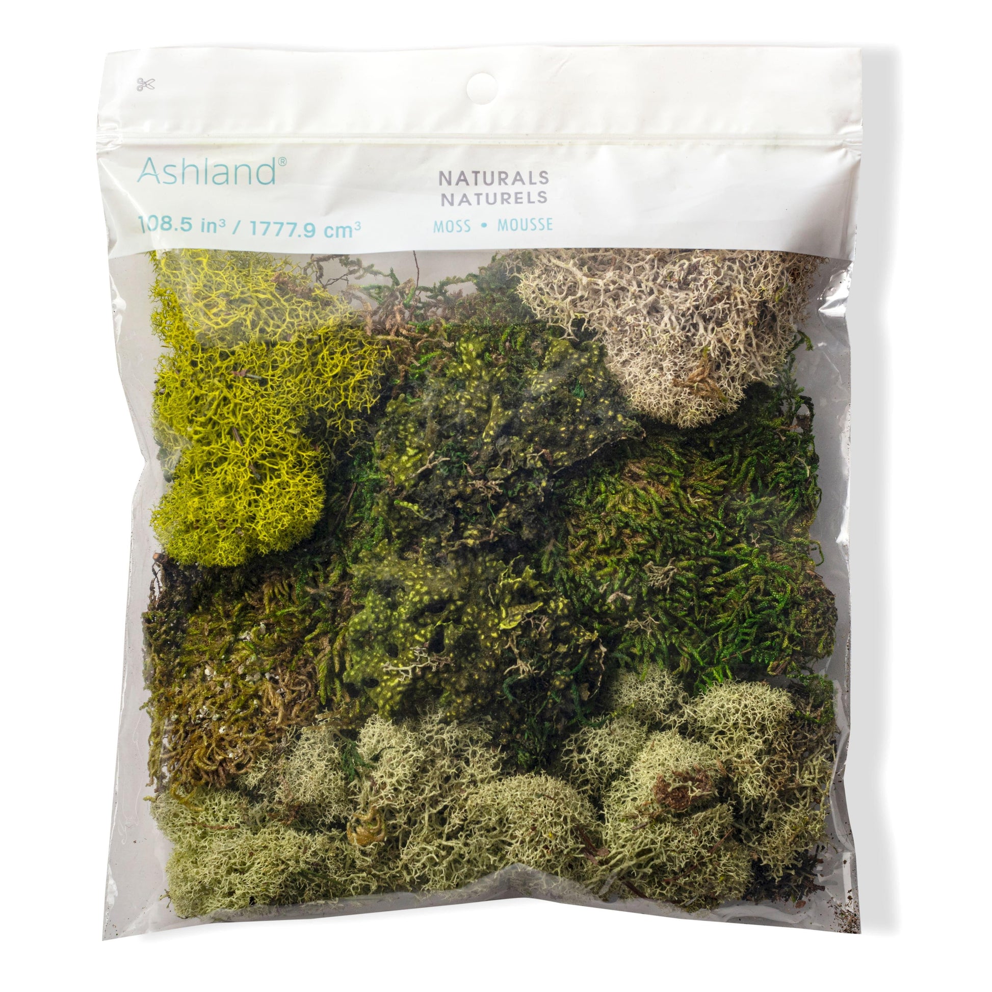 Moss Assorted - View 10 from www redcrocus com